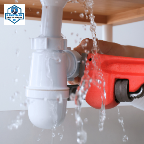 Top Plumbing Service in Singapore: Your Go-to Guide for Reliable and Efficient Solutions